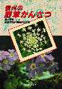 信州の野草かんさつ
