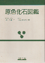 原色化石図鑑