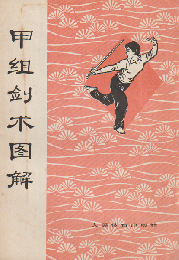 甲組剣木図解