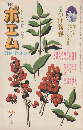 月刊ポエム : the poem  2巻1号 (1977.1) 特集：つげ義春