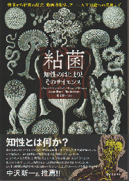 粘菌　知性のはじまりとそのサイエンス