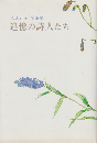 追憶の詩人たち : 深沢紅子随筆集
