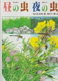 昼の虫夜の虫