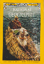 "National Geographic"INCA