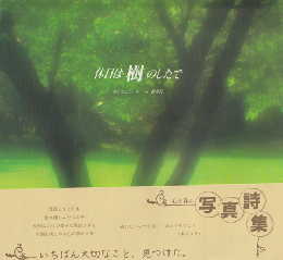 休日は樹のしたで : かじのこういちin軽井沢