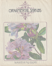 ORNAMENTAL SHRUBS  56 PLATES IN FULL COLOUR