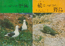 にいがたの野鳥 続にいがたの野鳥 ２冊セット