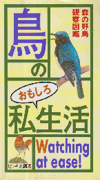 鳥のおもしろ私生活 : 森の野鳥観察図鑑
