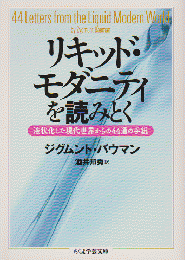 リキッド・モダニティを読みとく