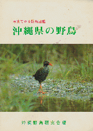 沖縄県の野鳥