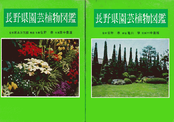 長野県園芸植物図鑑 草花編 庭木編 全2冊 佐野泰 田中豊雄 著 古書追分コロニー 古本 中古本 古書籍の通販は 日本の古本屋 日本の古本屋 長野県園芸植物図鑑 草花編 庭木編 全2冊 佐野泰 田中豊雄 著 古書追分コロニー 古本 中古本 古書籍の通販は 日本の古本屋 日本の古本屋
