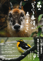 森の「いろいろ事情がありまして」 : ピッキオと軽井沢野鳥の森の仲間たち