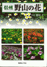 信州　野山の花