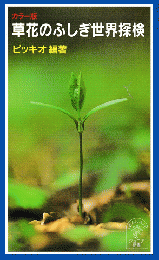 岩波ジュニア新書　カラー版　草花のふしぎ世界探検
