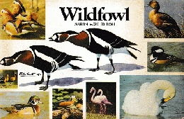 Wildfowl