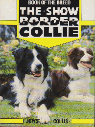 The Show Border Collie