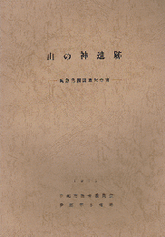 山の神遺跡 : 緊急発掘調査報告