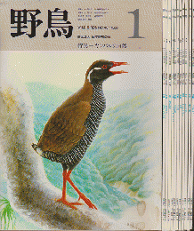 雑誌「野鳥」　1988年　一年分12冊