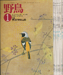 雑誌「野鳥」　1990年　一年分11冊