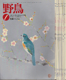 雑誌「野鳥」　1992年　一年分11冊