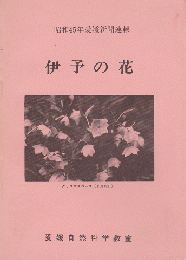 伊予の花