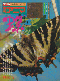 季刊アニマ 野生のこころⅣ：蝶