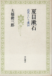 夏目漱石 : 近代という迷宮