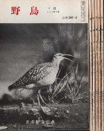 野鳥1969年1号(通巻268号）～12号（通巻279号） 12冊セット