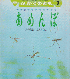 月刊かがくのとも 280号 「あめんぼ : みずのうえでくらすむし」