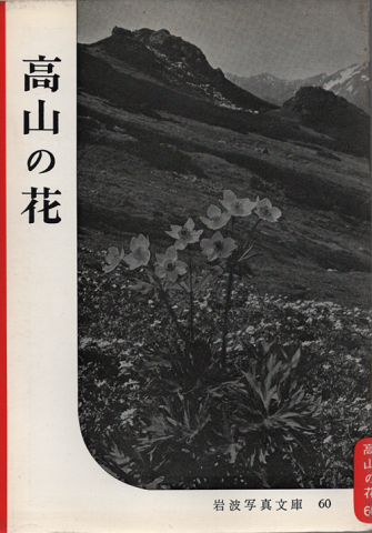 マラルメ伝 : 絶対と日々(ジャン=リュック・ステンメッツ 著