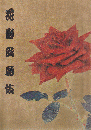 歌舞伎パンフレット　花形歌舞伎