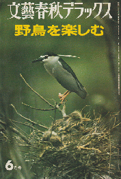 文藝春秋デラックス 昭和53年6月号 野鳥を楽しむ