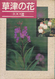 草津の花100選