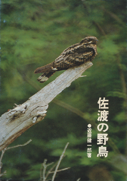 佐渡の野鳥 近藤健一郎 古書追分コロニー 古本 中古本 古書籍の通販は 日本の古本屋 日本の古本屋