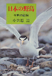 日本の野鳥 : 生態の記録