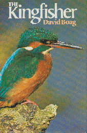 The Kingfisher