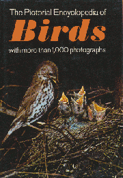 The Pictorial Encyclopedia of Birds