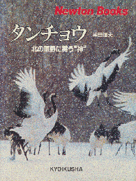 タンチョウ : 北の原野に舞う"神"