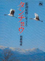 タンチョウ : 根釧原野に生きる