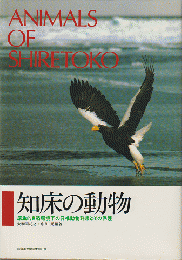 知床の動物 : 原生的自然環境下の脊椎動物群集とその保護