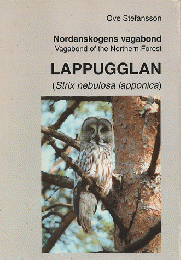 Lappugglan (Strix nebulosa lapponica)
