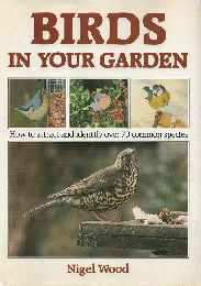 BIrds in your Garden