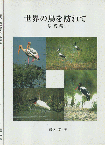 浅間山麓殺人推理(梶竜雄 著) / 古書追分コロニー / 古本、中古