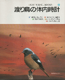 渡り鳥の体内時計