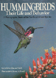 Hummingbirds Their Life and Behavior