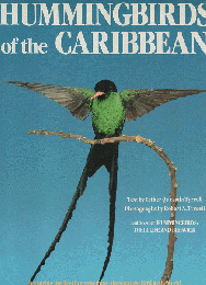 Hummingbirds of the Caribbean