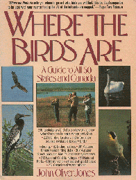 Where The Birds Are