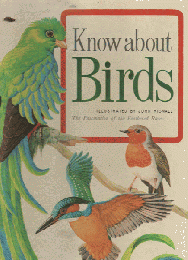 Know about Birds