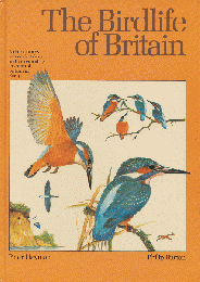 The Birdlife of Britain