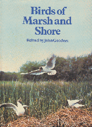 Birds of Marsh and Shore